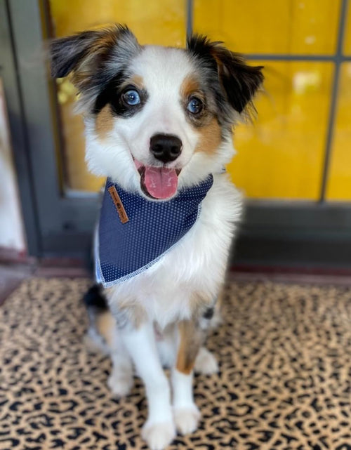 Load image into Gallery viewer, Dog Bandana for Small Medium Large Dogs, Cat Dog Kerchief Dog Triangle Bibs Scarf for Girl or Boy
