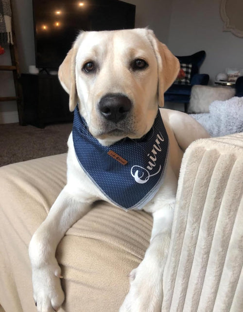 Load image into Gallery viewer, Dog Bandana for Small Medium Large Dogs, Cat Dog Kerchief Dog Triangle Bibs Scarf for Girl or Boy
