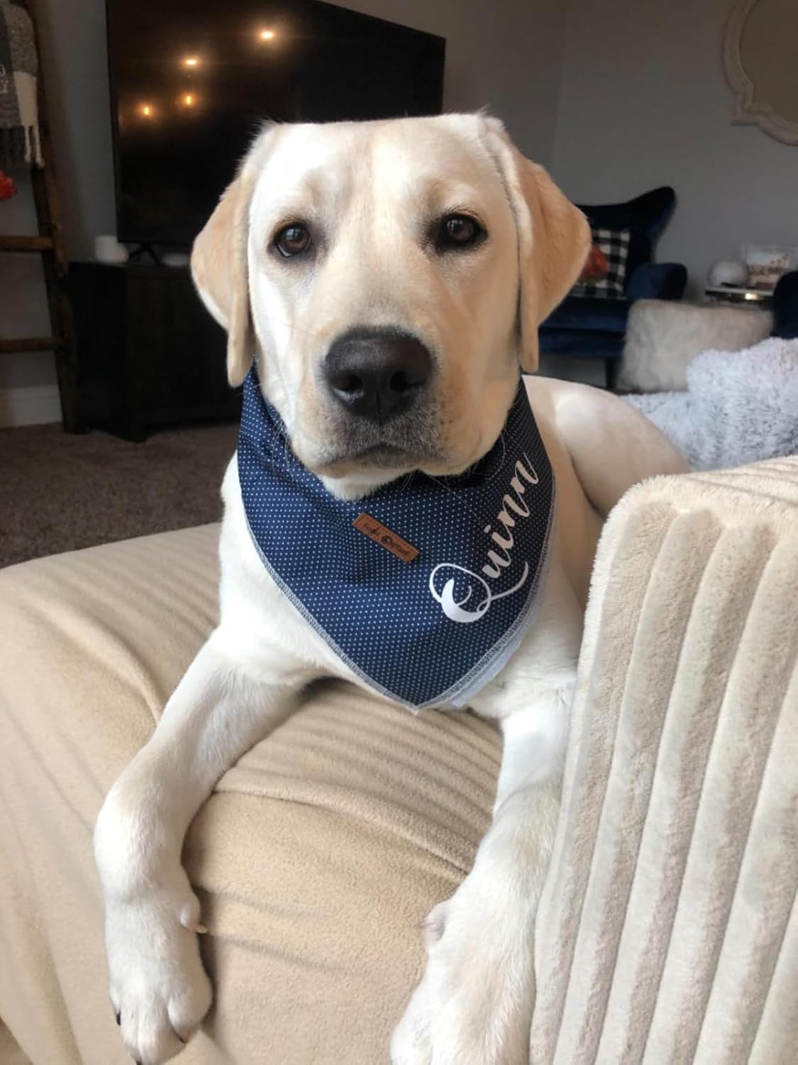 Dog Bandana for Small Medium Large Dogs, Cat Dog Kerchief Dog Triangle Bibs Scarf for Girl or Boy