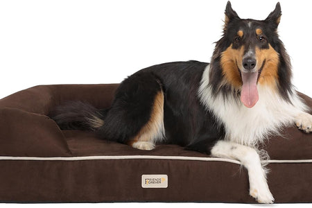 Orthopedic Dog Bed Lounge Sofa Removable Cover 100% Suede Mattress Memory-Foam with Bolster Rim Premium Prestige Edition