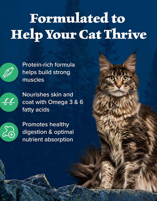 Load image into Gallery viewer, Blue Buffalo Wilderness High Protein Grain Free, Natural Adult Dry Cat Food
