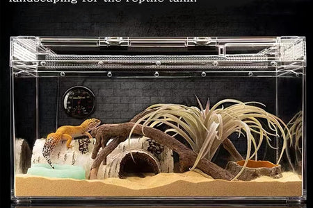 Reptile Hides and Caves Birch Tree Bark Trunk Habitats Decor Aquarium Decoration Wood for Lizard Geckos Snake Spiders Frogs Turtle (Small)