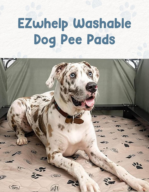 Load image into Gallery viewer, Reusable Dog Pee Pads, Washable Waterproof Mats for Potty Training or Whelping Pads, Puppy Pad with Rounded Corners, 16.5X19.5 Inch, 2 Pack
