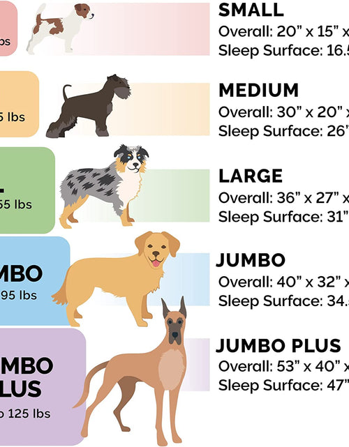 Load image into Gallery viewer, Replacement Pet Bed Cover - Plush Velvet Waves Perfect Comfort Sofa Washable Dog Bed Cover, Celadon Green, Jumbo plus (Xx-Large)

