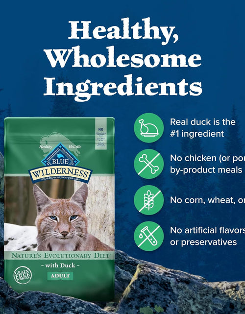 Load image into Gallery viewer, Blue Buffalo Wilderness High Protein Grain Free, Natural Adult Dry Cat Food
