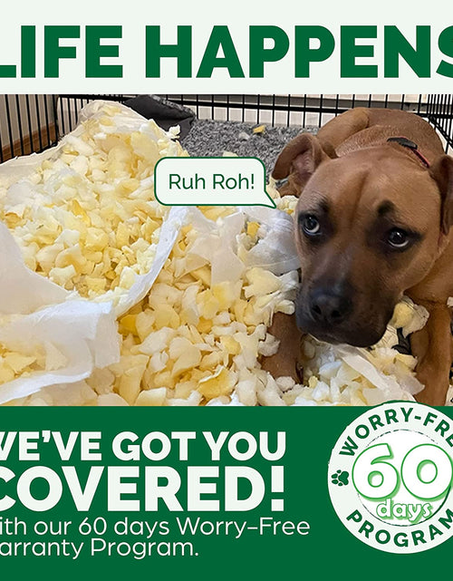 Load image into Gallery viewer, Replacement Pet Bed Cover - Plush Velvet Waves Perfect Comfort Sofa Washable Dog Bed Cover, Celadon Green, Jumbo plus (Xx-Large)
