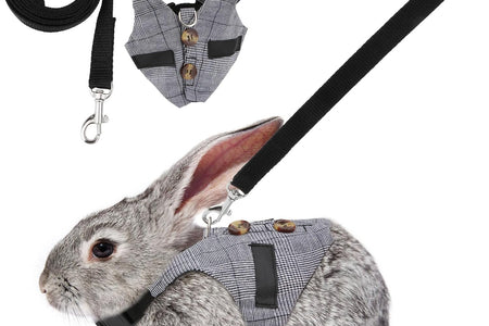 Rabbit Vest Harness and Leash Set Adjustable Formal Suit Style for Bunny Kitten Small Animal Walking (S)