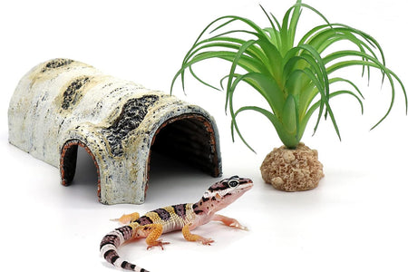 Reptile Hides and Caves Birch Tree Bark Trunk Habitats Decor Aquarium Decoration Wood for Lizard Geckos Snake Spiders Frogs Turtle (Small)